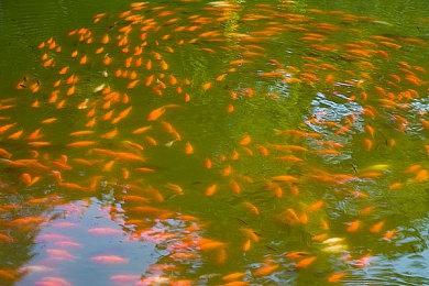 《为了吾王2》免费B测5月10日开启 Steam预约上线