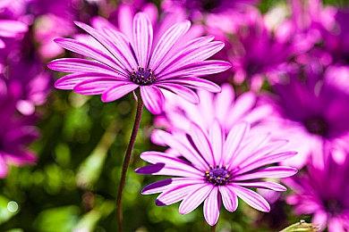 V社警告A卡Anti-Lag+功能：开启就封号