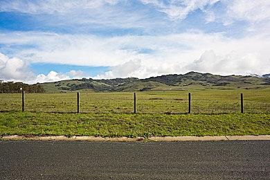 《黑神话：悟空》原本有多人模式 数据挖掘曝光大量功能